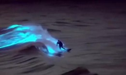 海洋最新爆料视频